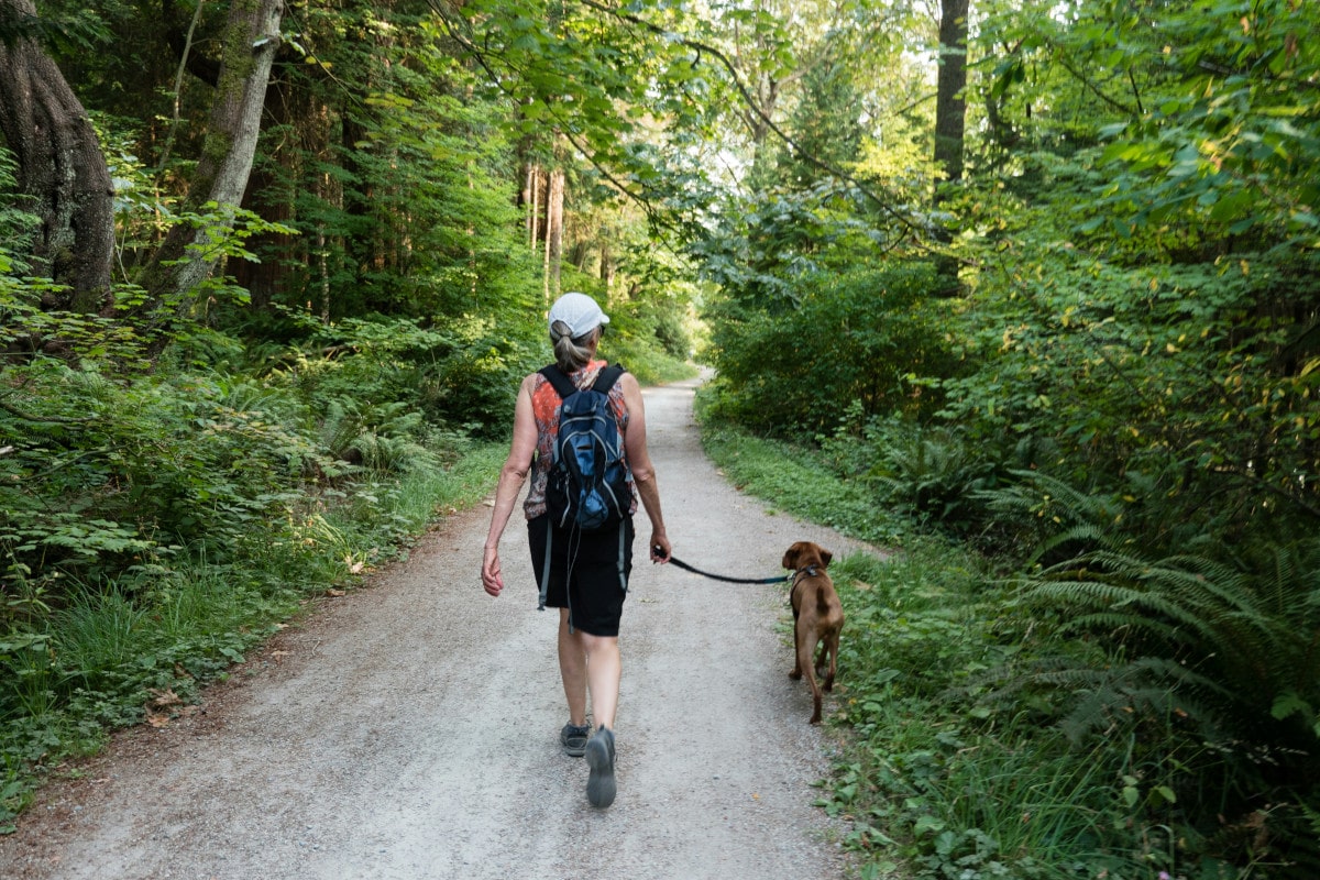 Why Every Dog Owner Needs a Quality Leash