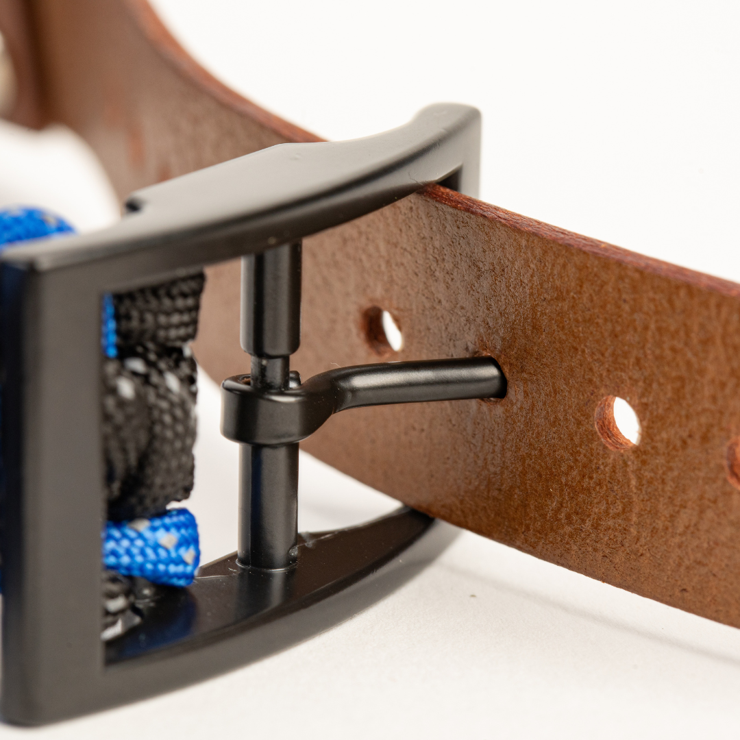 close up of dog collar
