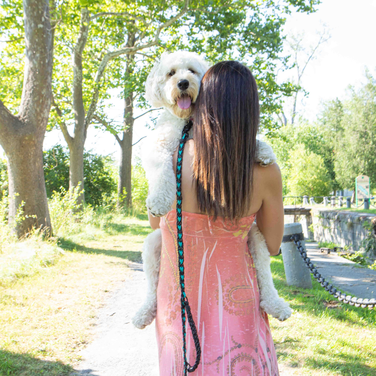 dog held with Forever Leash