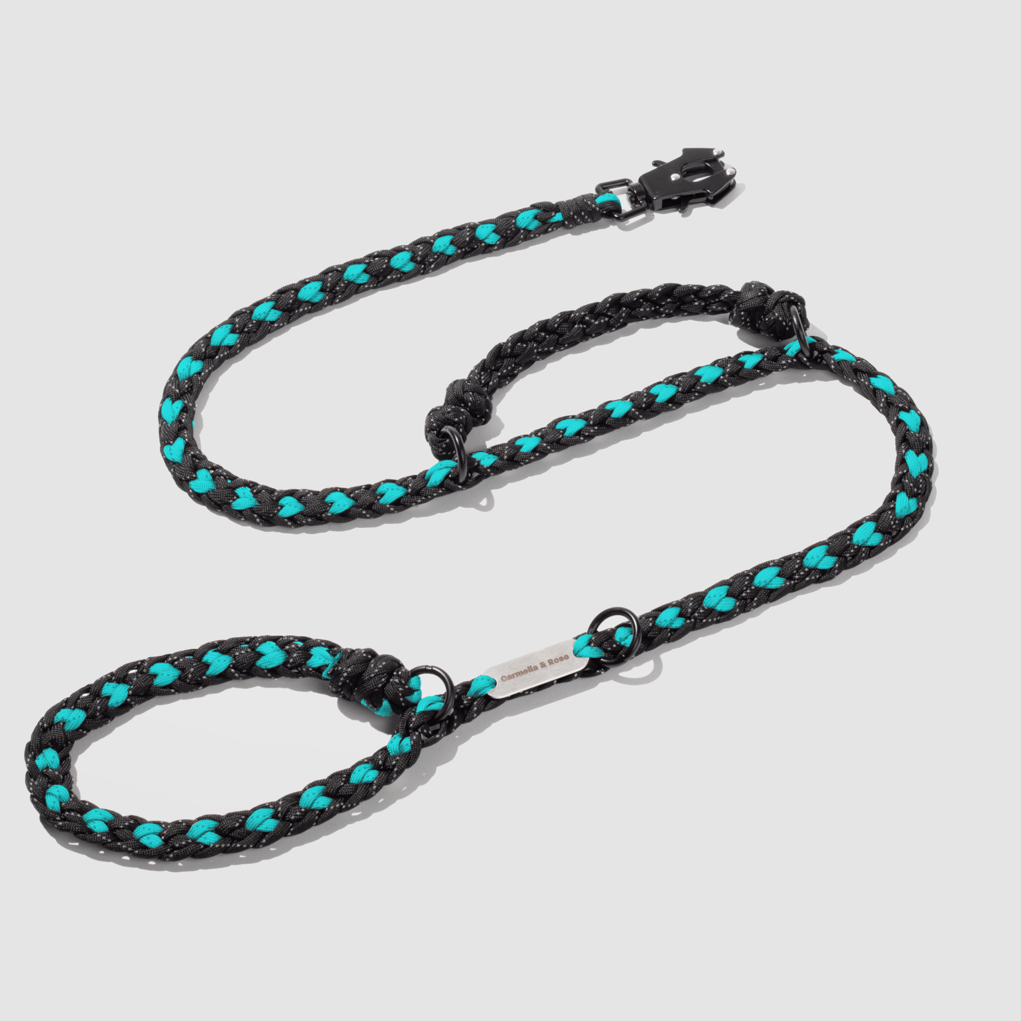 Forever-Leash-Teal-2-min.png