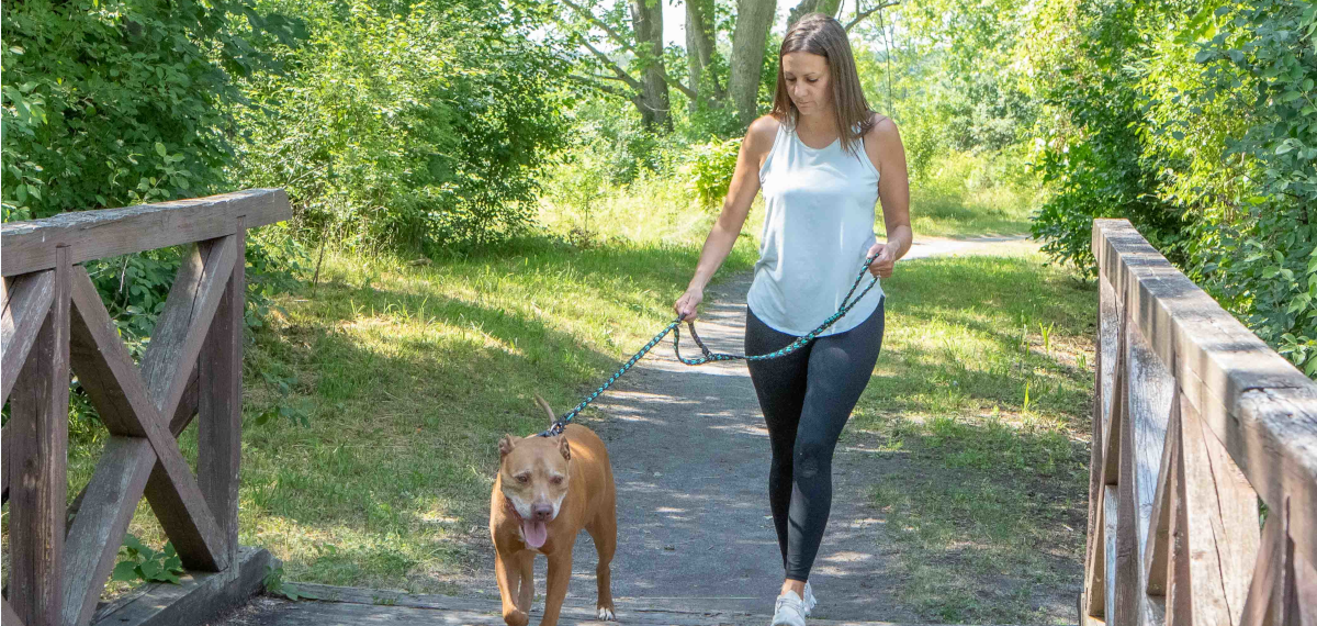 Woman walking pitbull