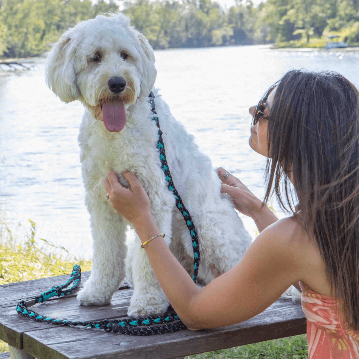 Smiling dog on picnic table