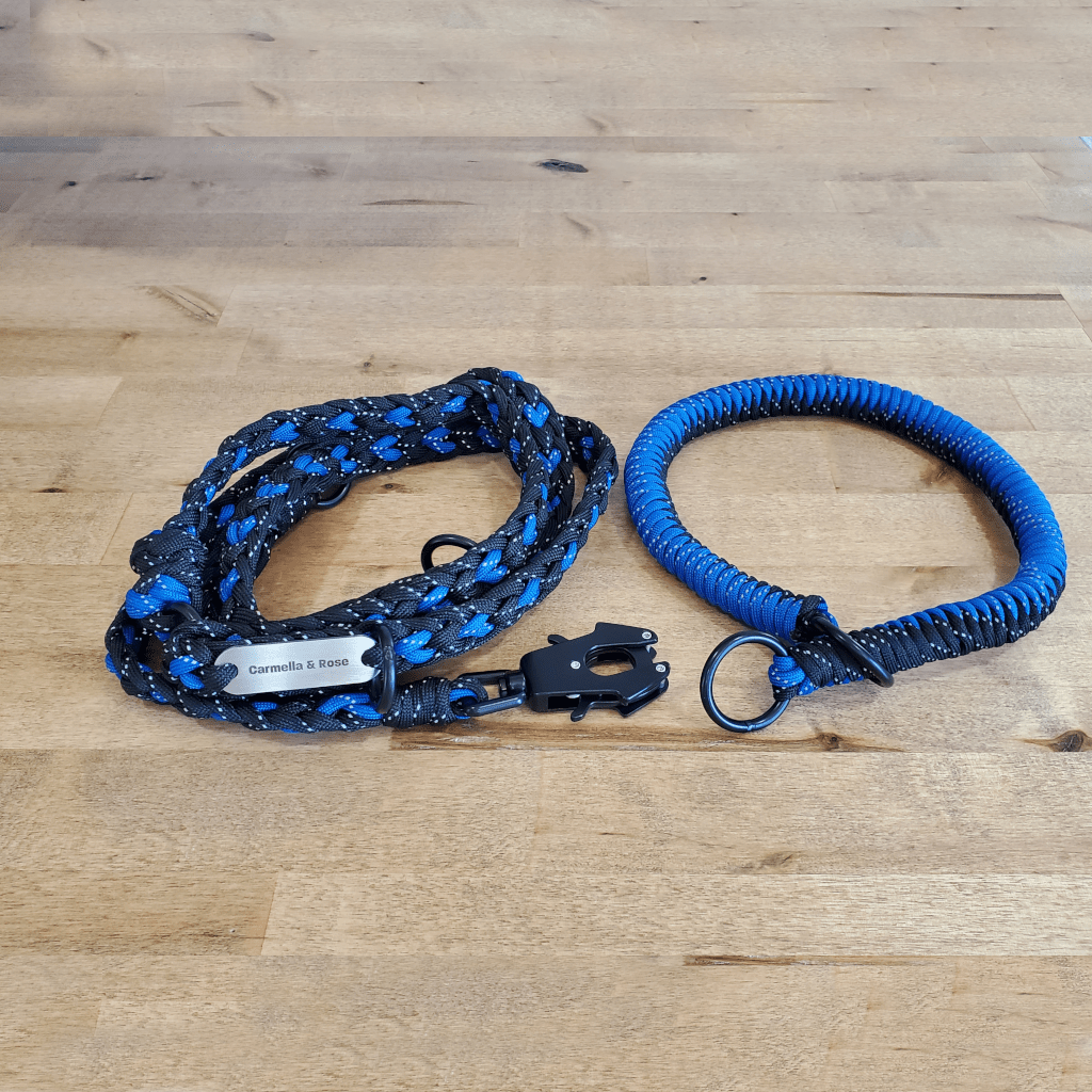 Walk-Kit-Blue-1024x1024-min.png
