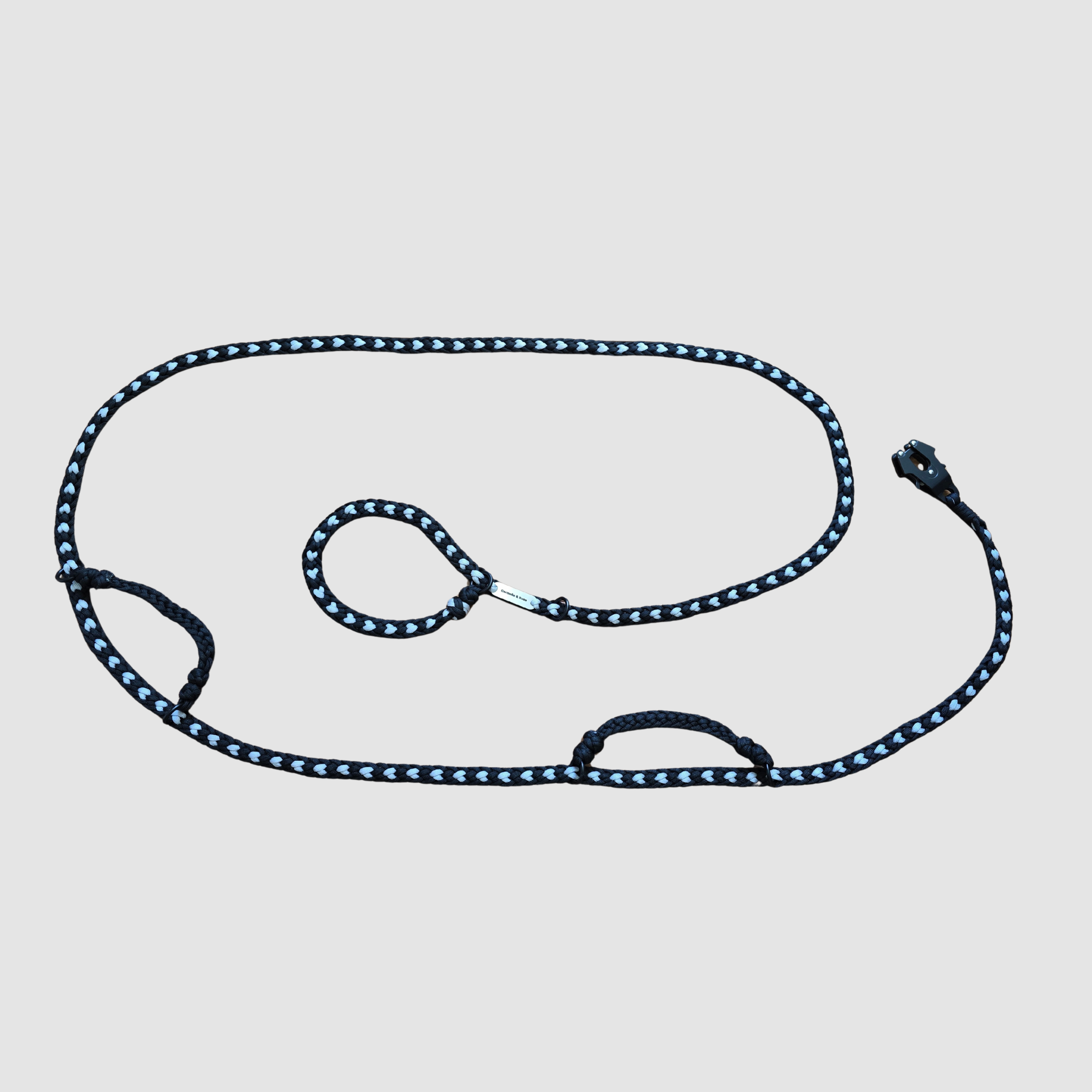 Forever Leash