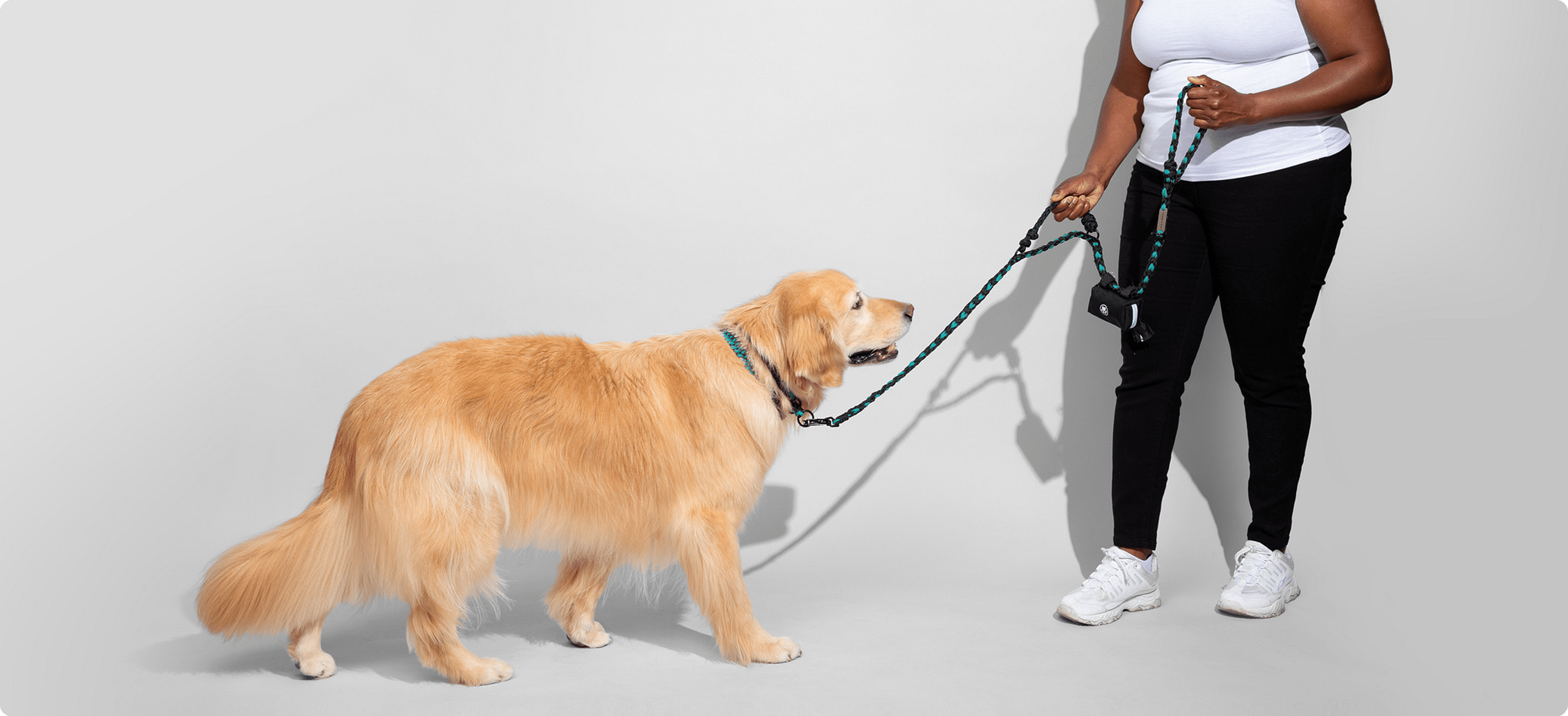 A_Golden_Retriever_on_a_leash_held_by_a_person_2-min.png