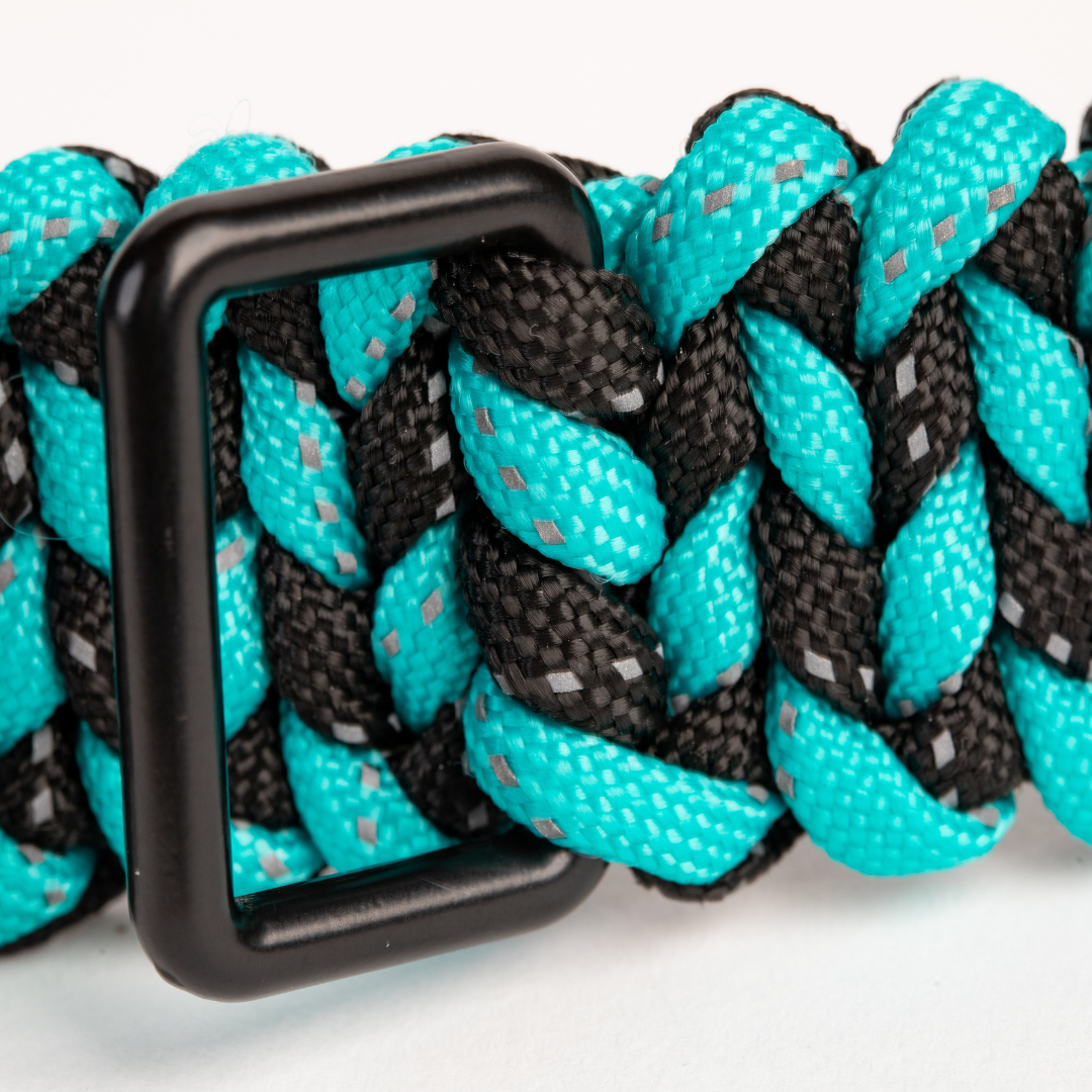 close up of blue paracord on dog collar