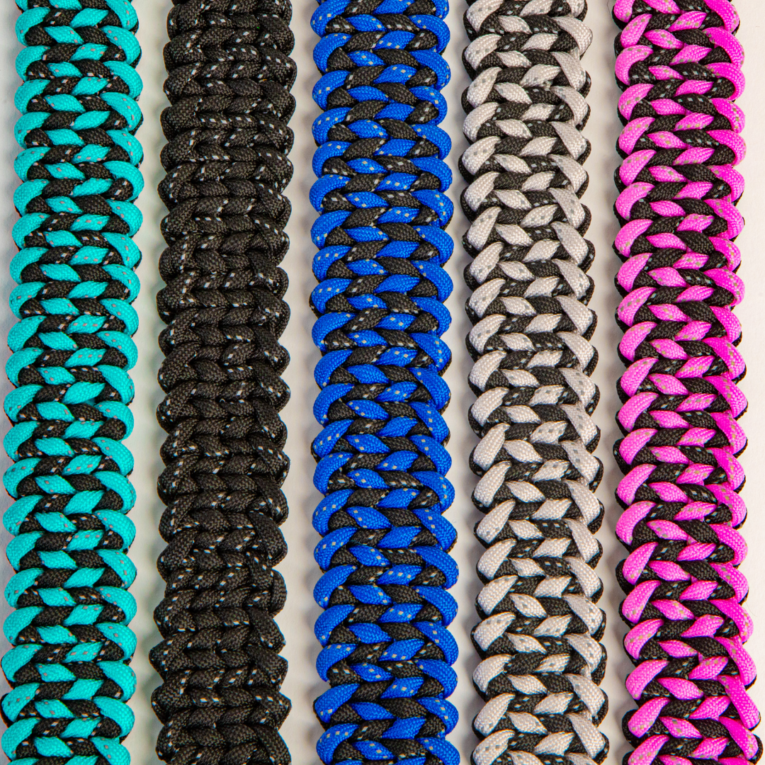 dog collar color variations