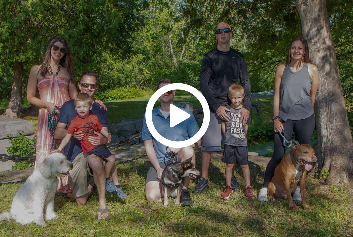 Family and friends with their dogs video