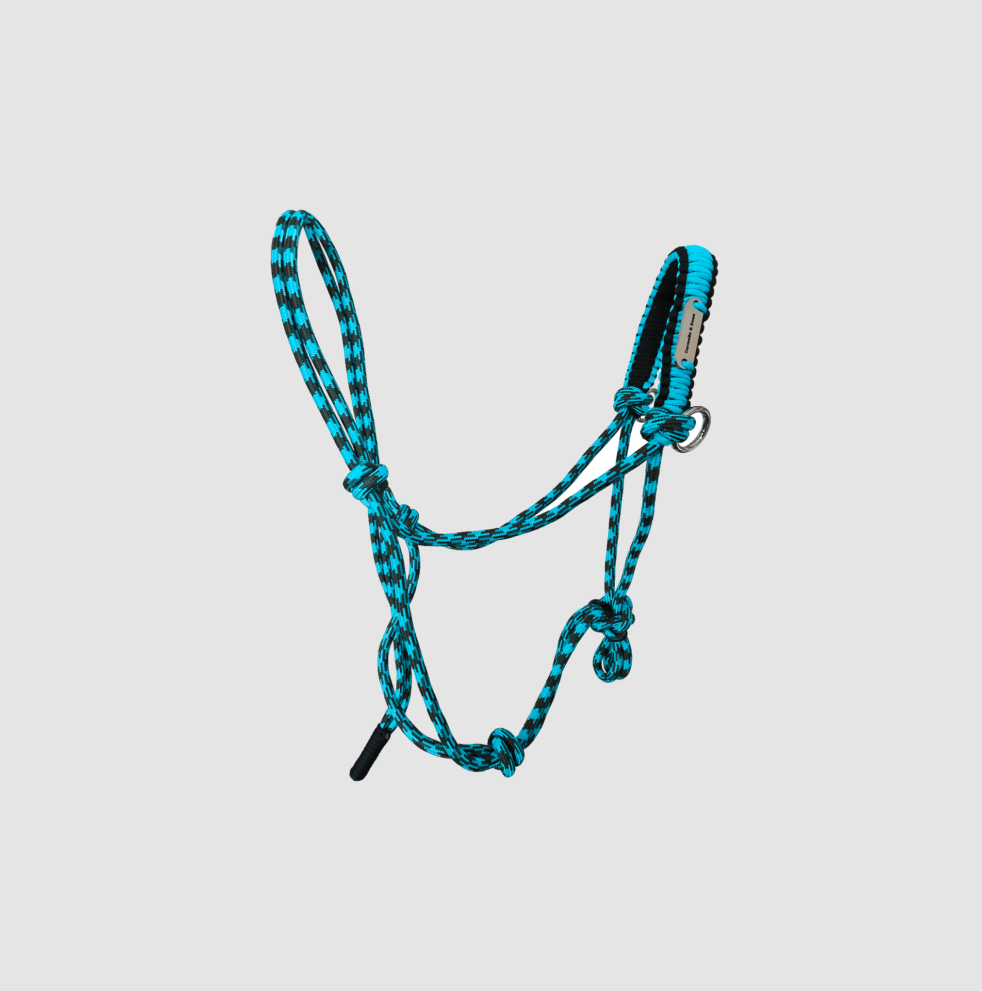Teal horse halter