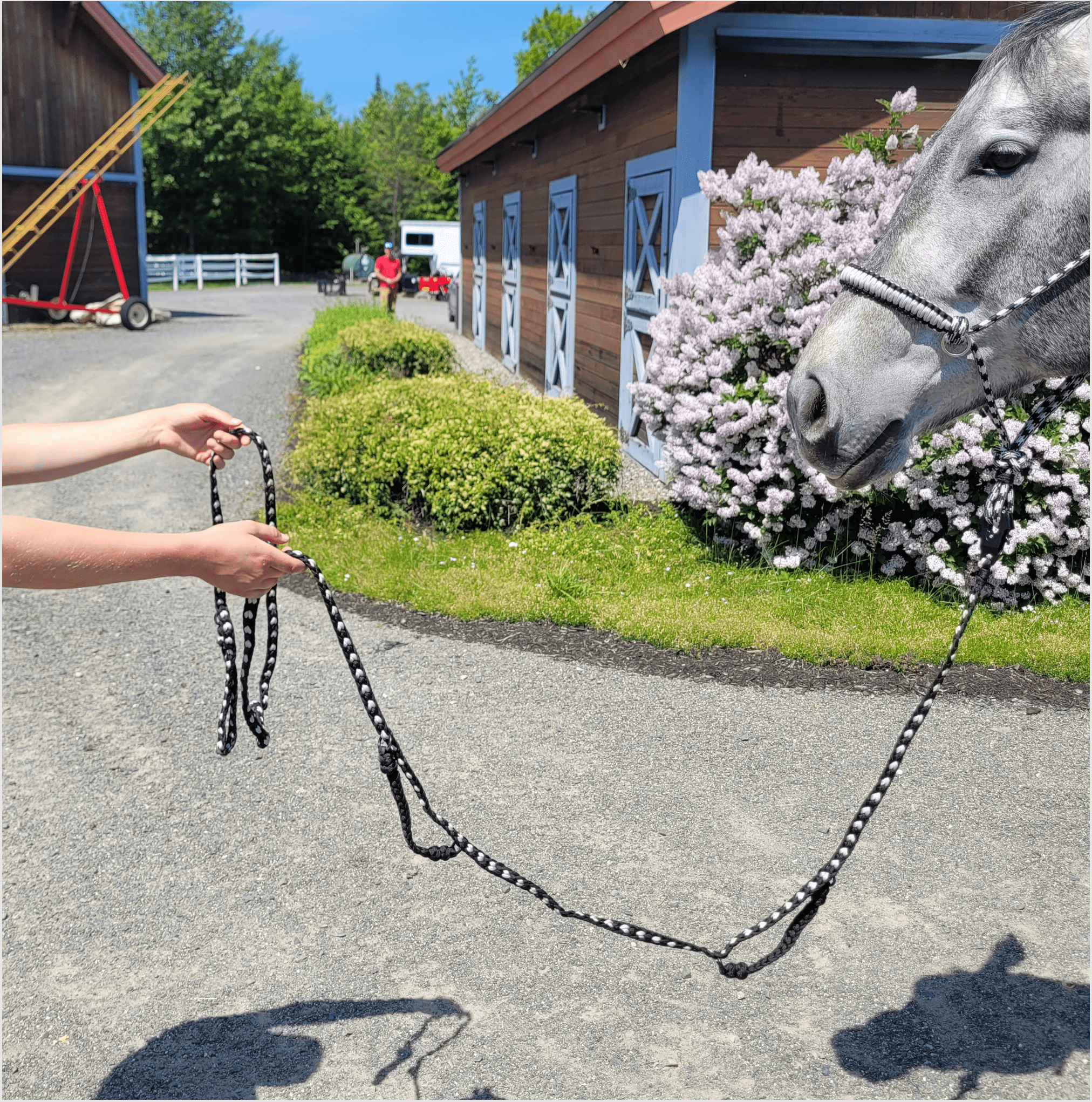 Legacy Lead Rope
