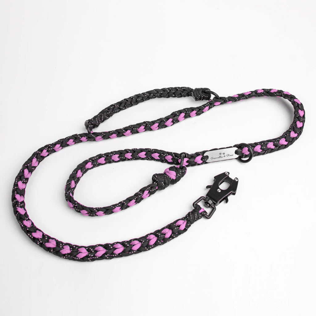 Leash-Pink-1024x1024.jpg