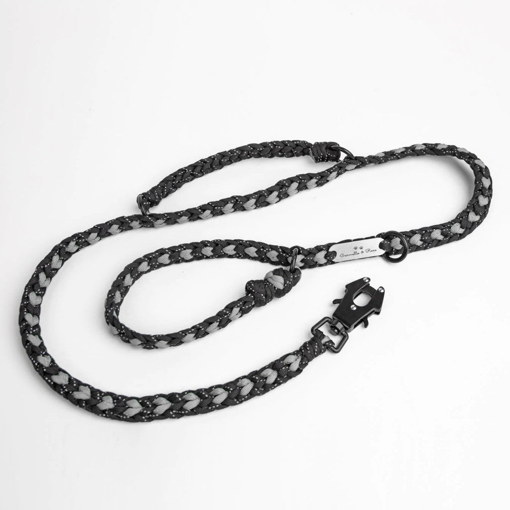 Leash-Silver-1024x1024.jpg