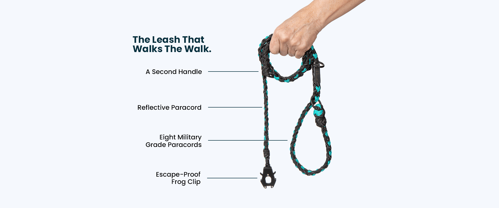 Learn Resources For Anxious or Reactive Dogs Carmella & Rose