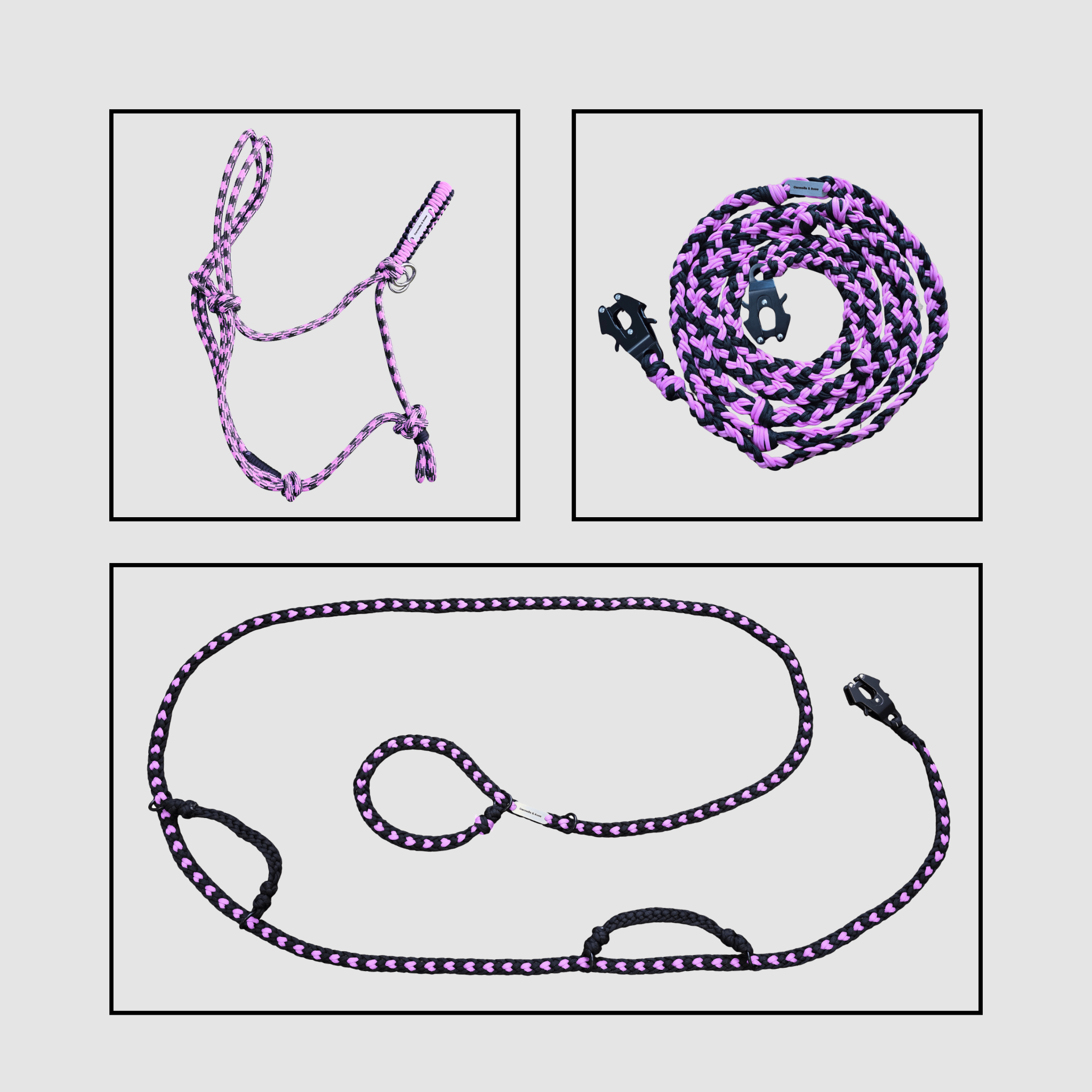 Legacy-Collection-Pink.png