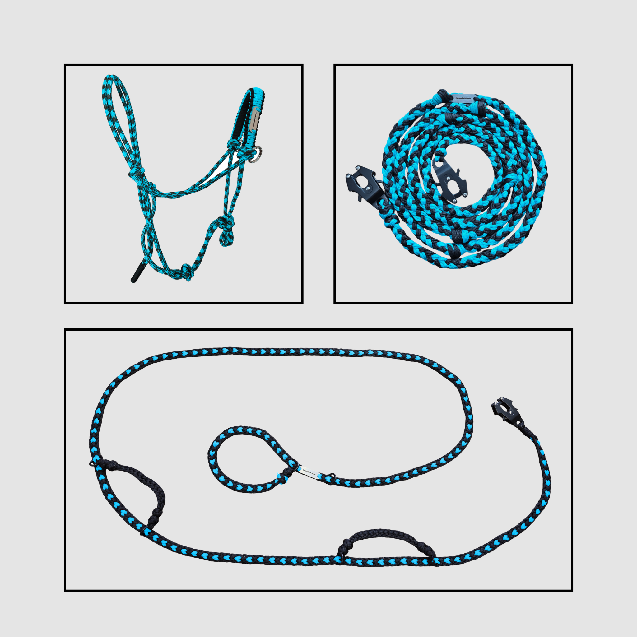 Legacy-Collection-Teal.png