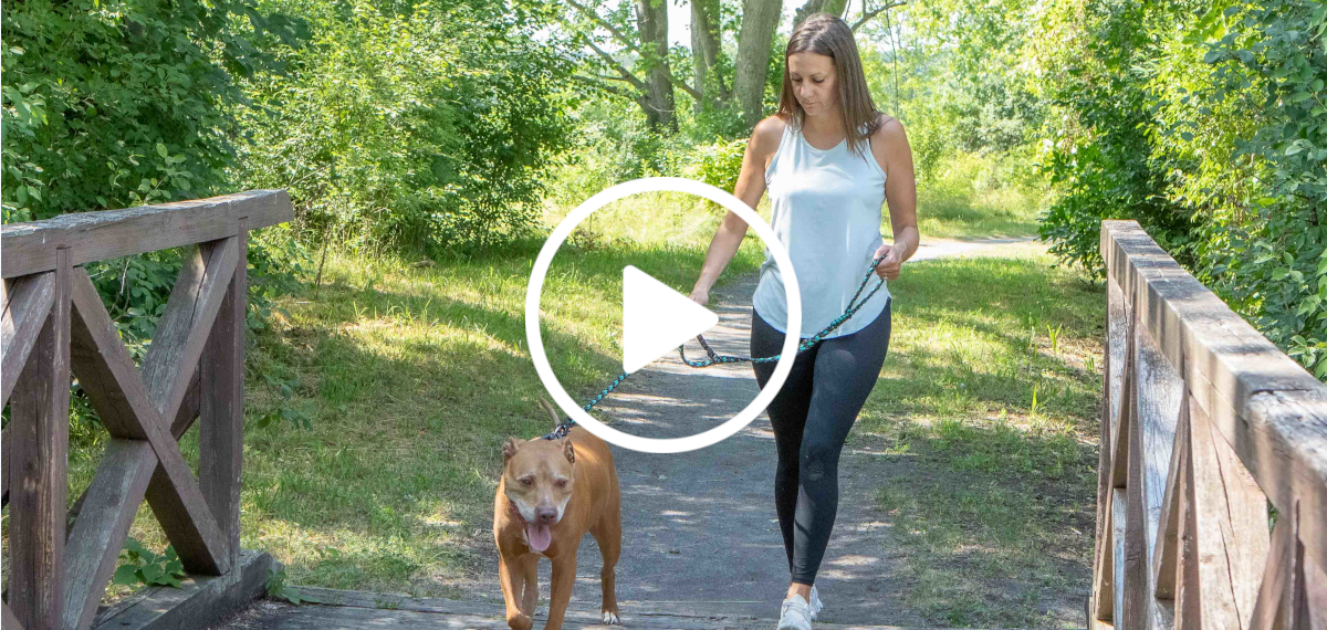 Description of The Forever Leash