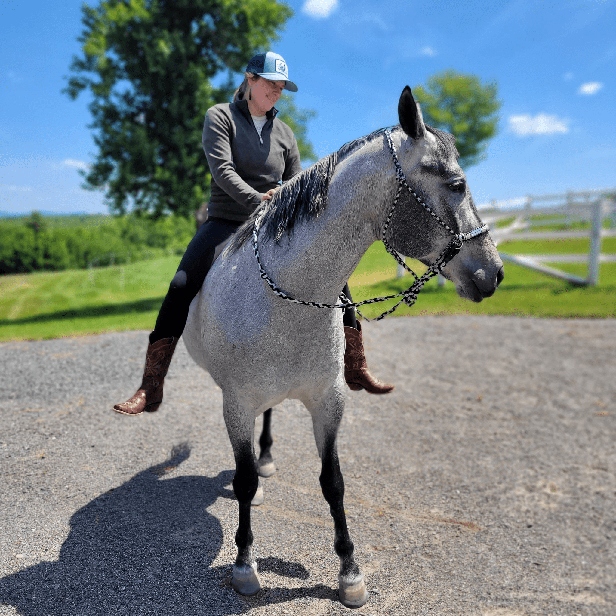 Person riding horse with reins