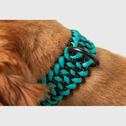 Forever Collar