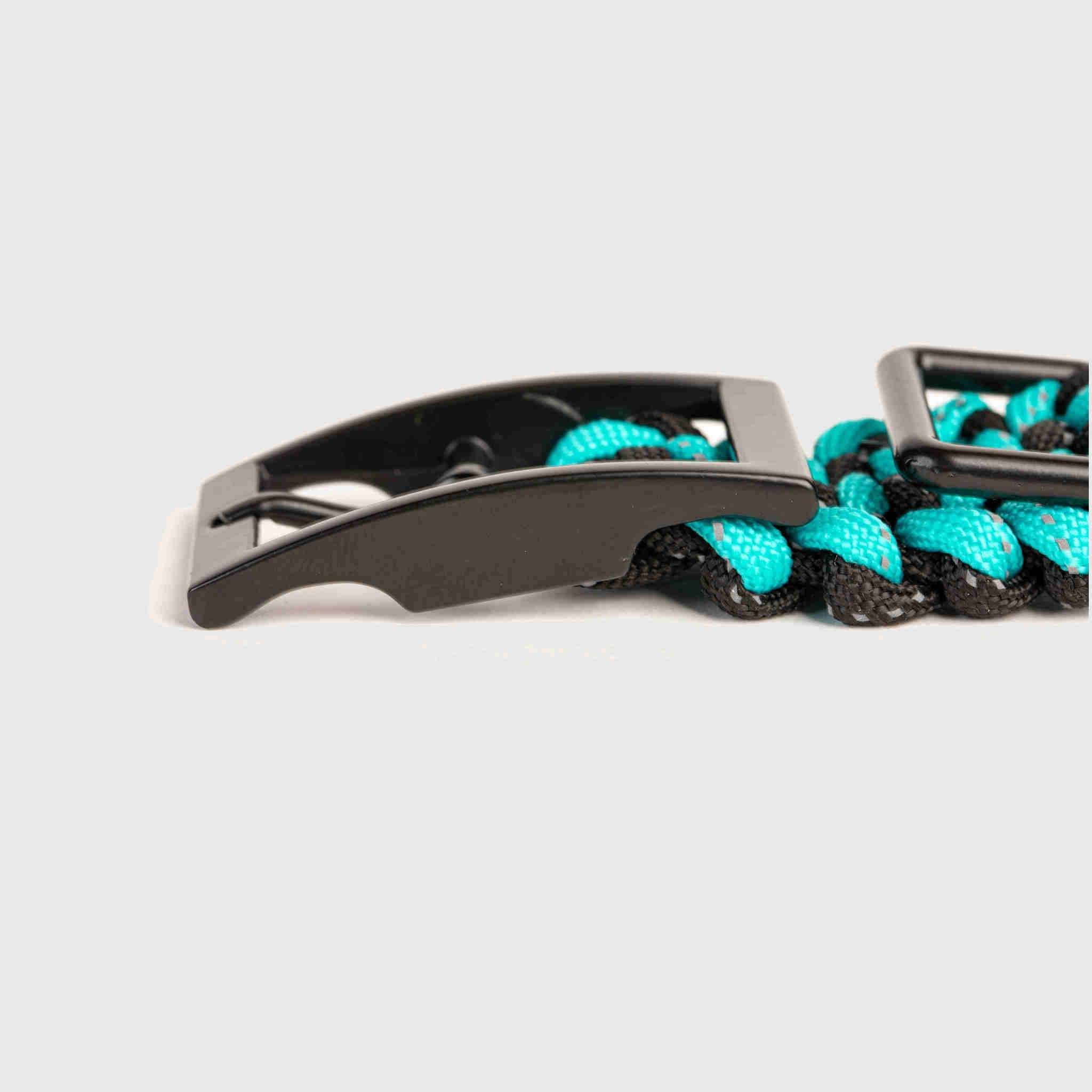 Forever Collar