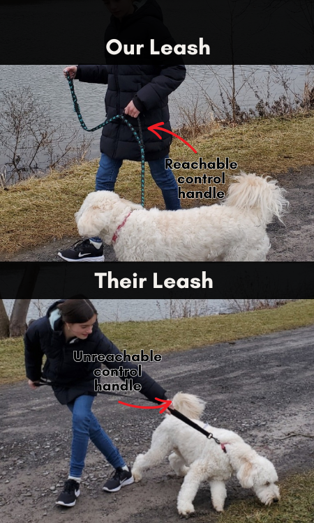 our-leash-their-leash.png
