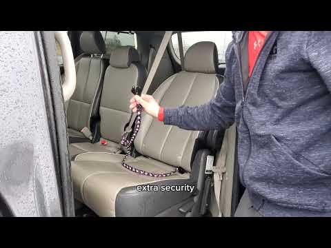 Seat Belt Tether (4-in-1 Connect)
