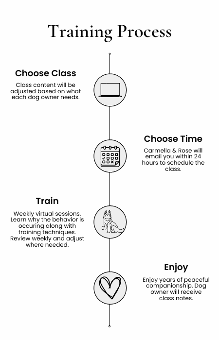 training-process-mobile.png