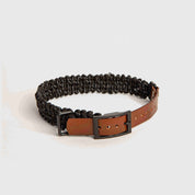 Forever Collar