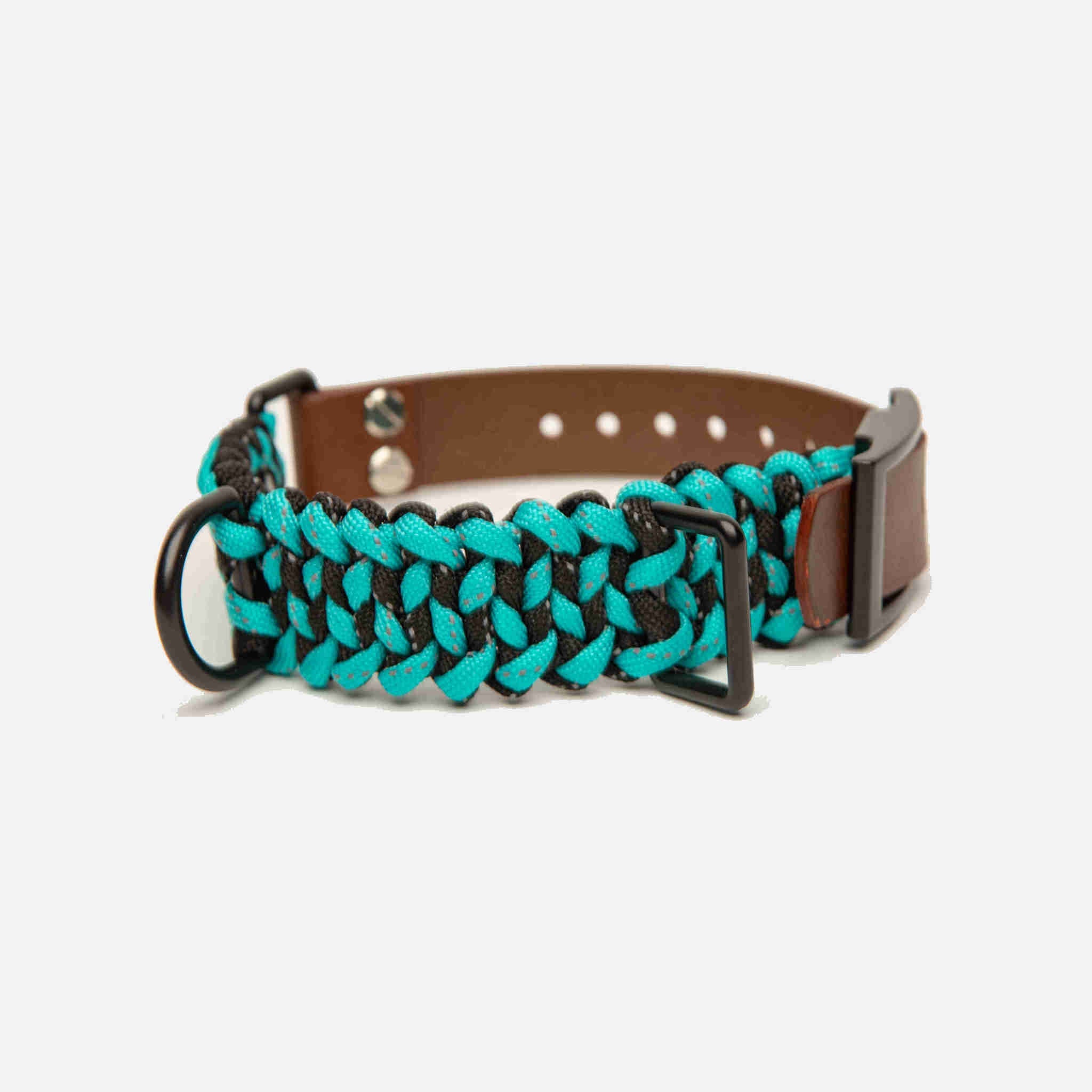 Forever Collar