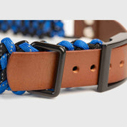 Forever Collar