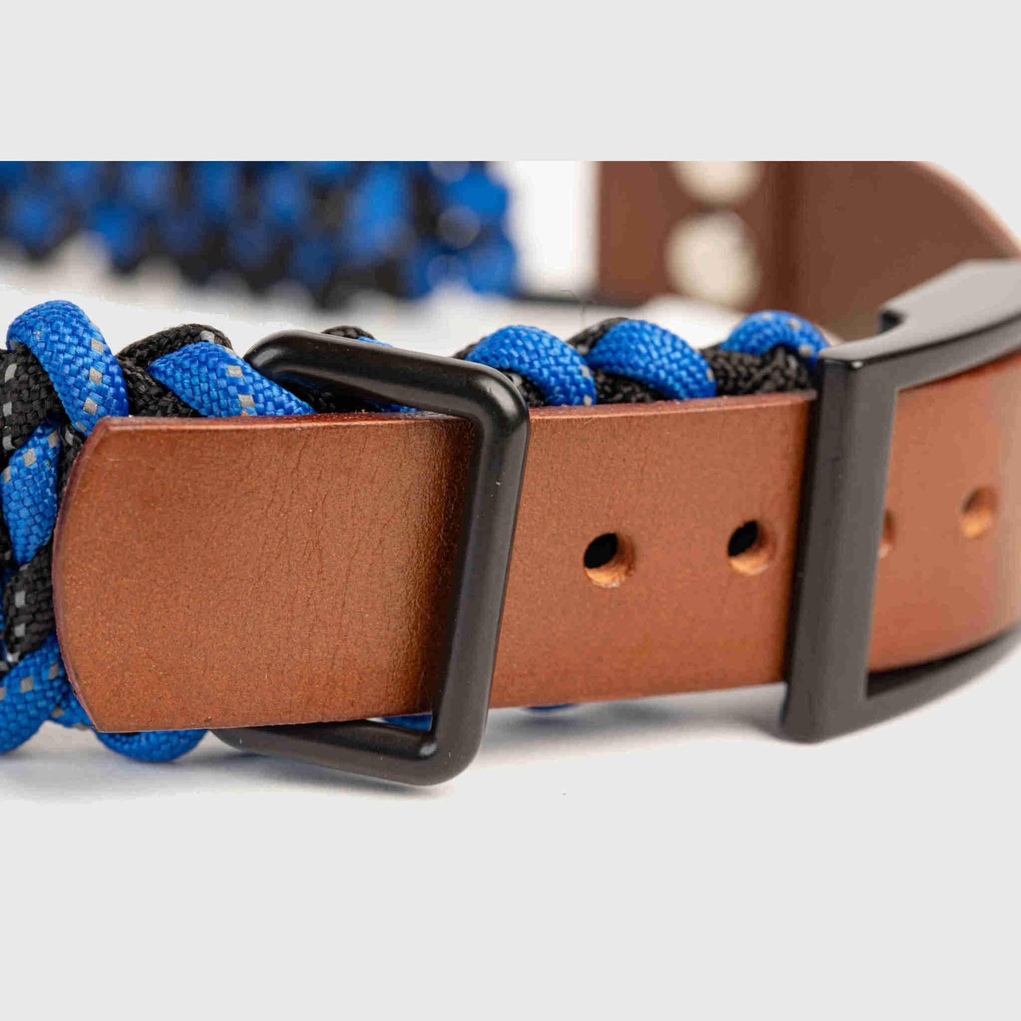 Forever Collar
