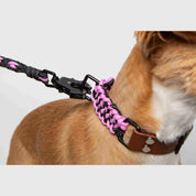 Forever Collar