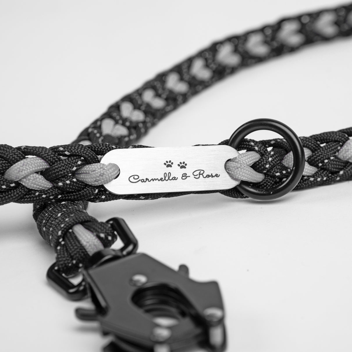 Forever Leash