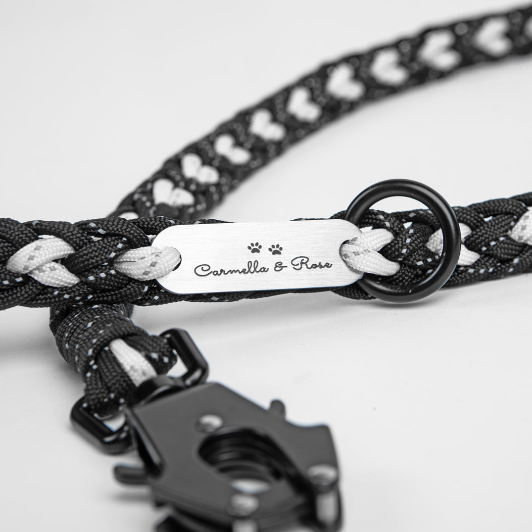 Forever Leash
